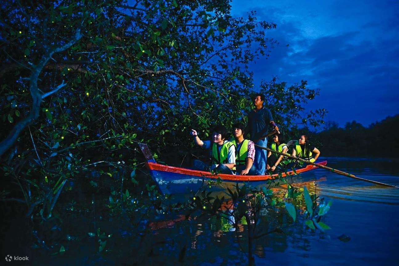 Kuala Lumpur: Kuala Selangor Fireflies Tour